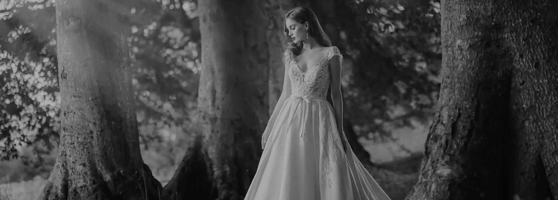 Visit Disney Fairy Tale Weddings Page